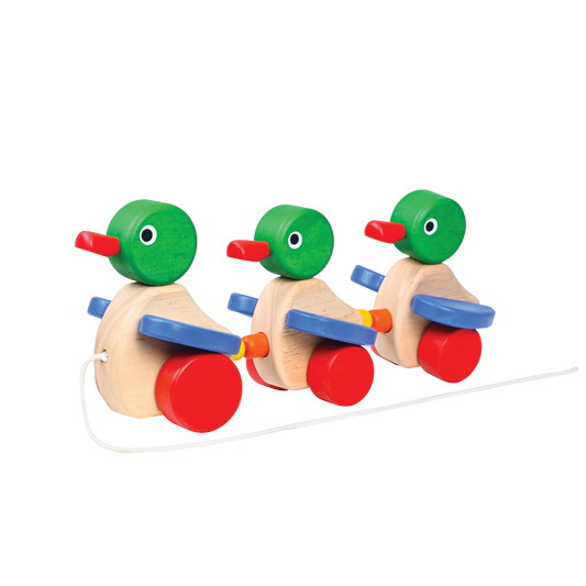 Colorful wooden toy ducks with labels for senses and motor skills on a white background