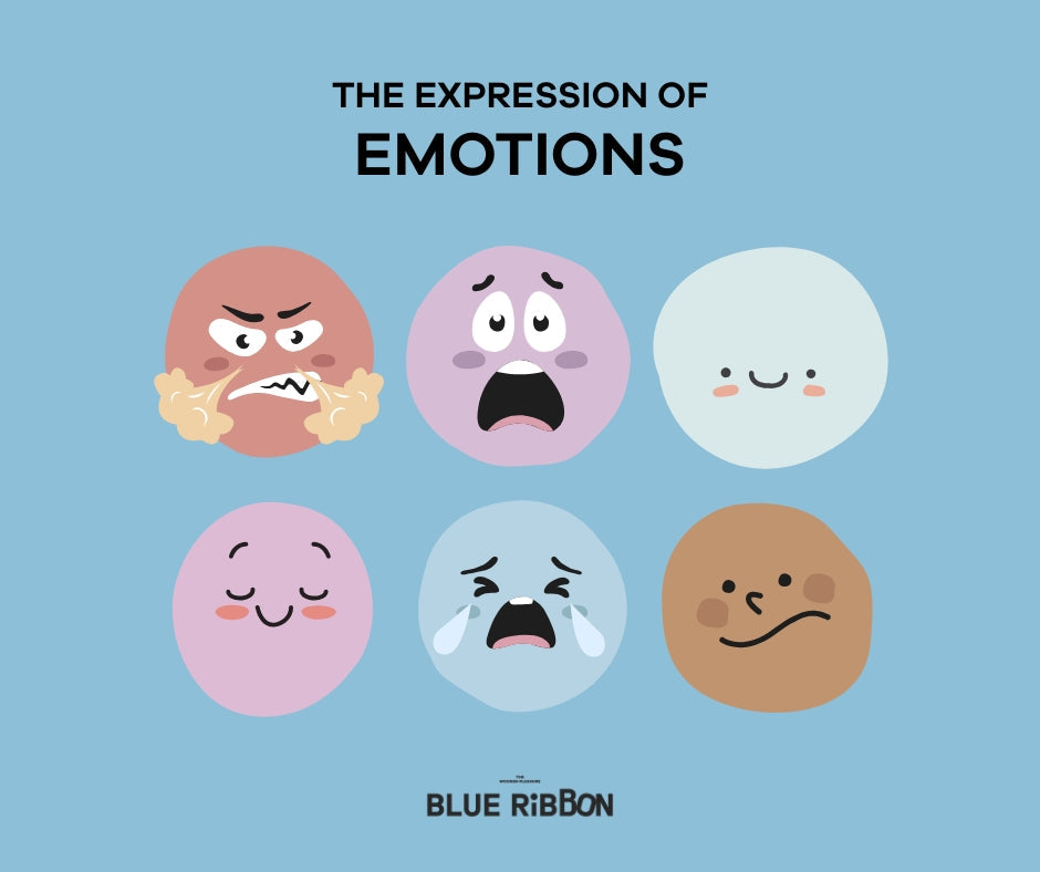การแสดงออกทางอารมณ์ของเด็ก Expression of Emotions