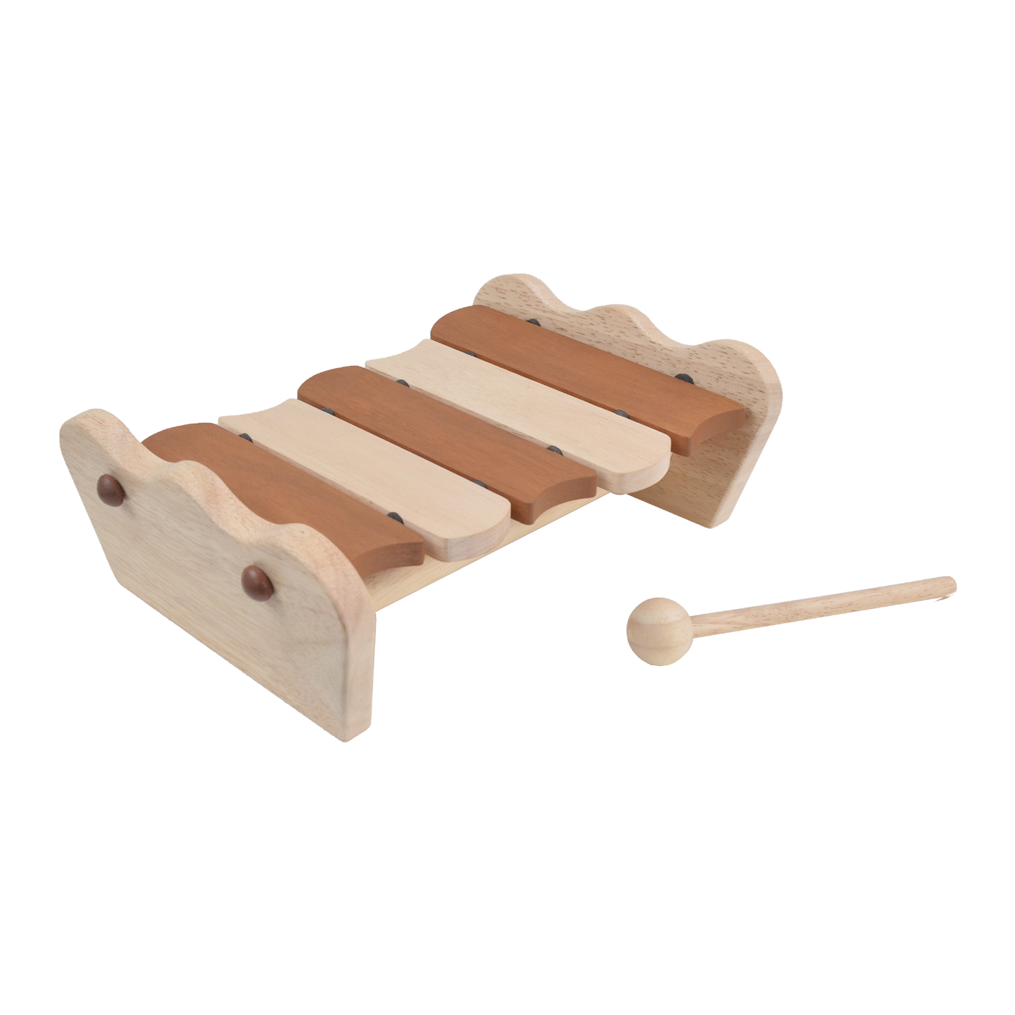 SCALLOP XYLOPHONE (COLOR)