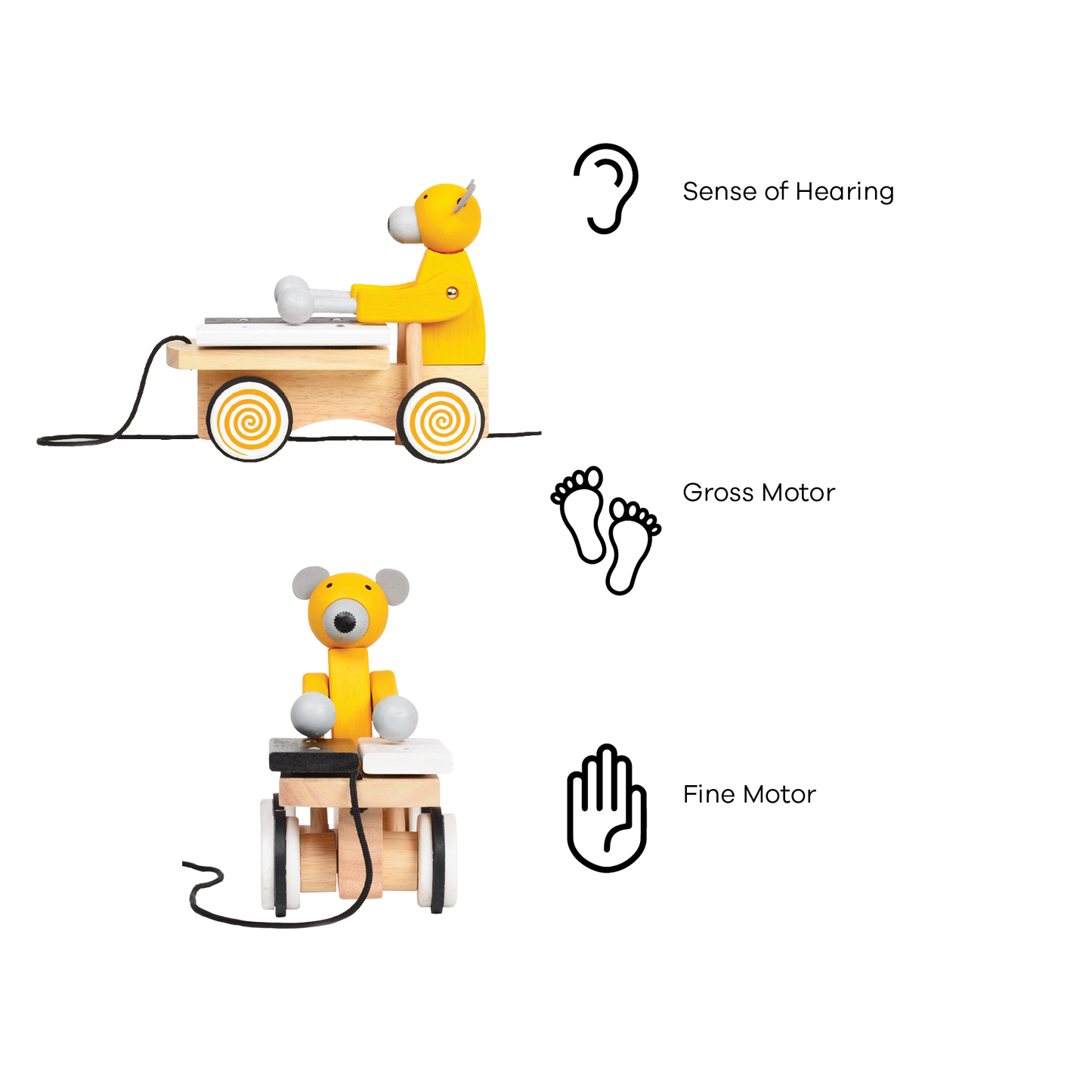 BEAR XYLOPHONE