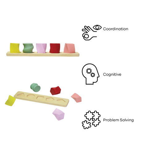 3D SHAPE SORTER