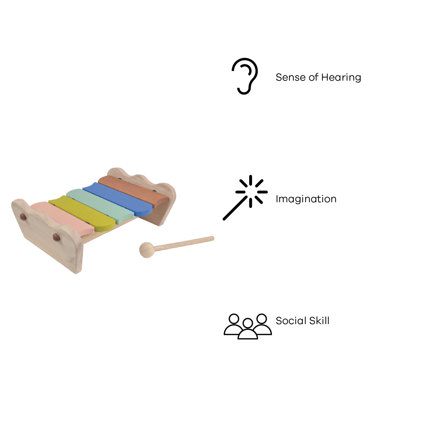 SCALLOP XYLOPHONE (COLOR)